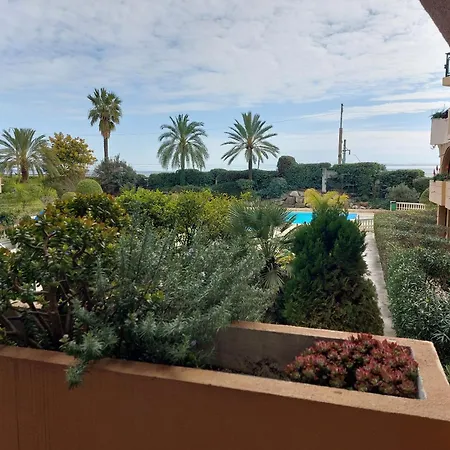 Caribou T2 Piscine - Axelle Loc'appart Cannes